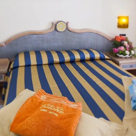 Отель Terme Tritone &