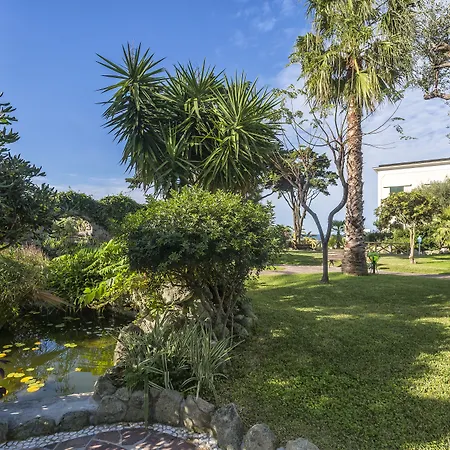 Terme Tritone & Forio di Ischia