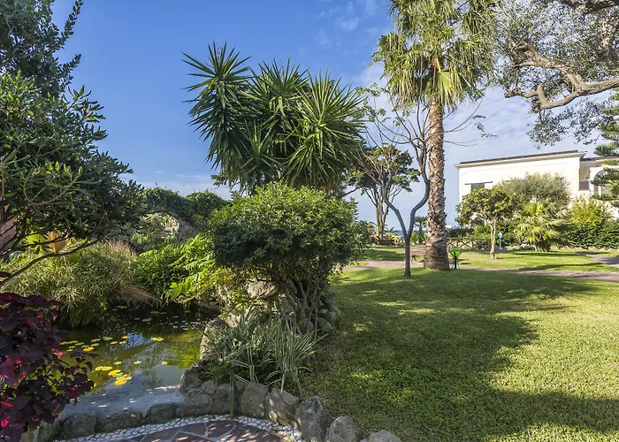 Terme Tritone & Forio di Ischia